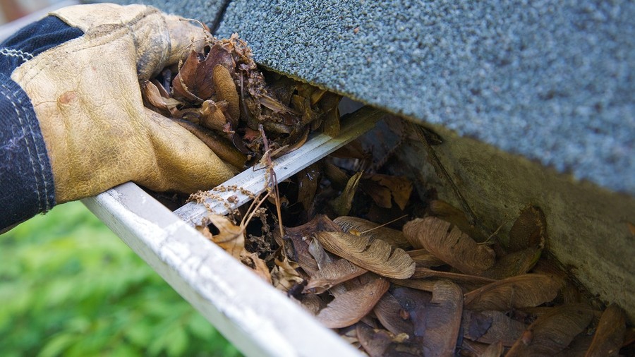 Fall Cleanup - Leaves In Gutter